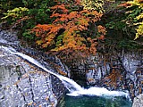 紅葉(奈良県天川)